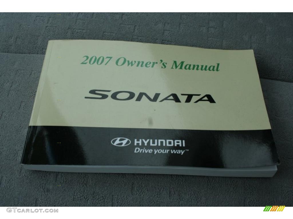 2007 Sonata SE V6 - Steel Gray / Gray photo #4