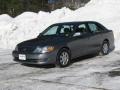 Silver Spruce Metallic - Avalon XL Photo No. 8