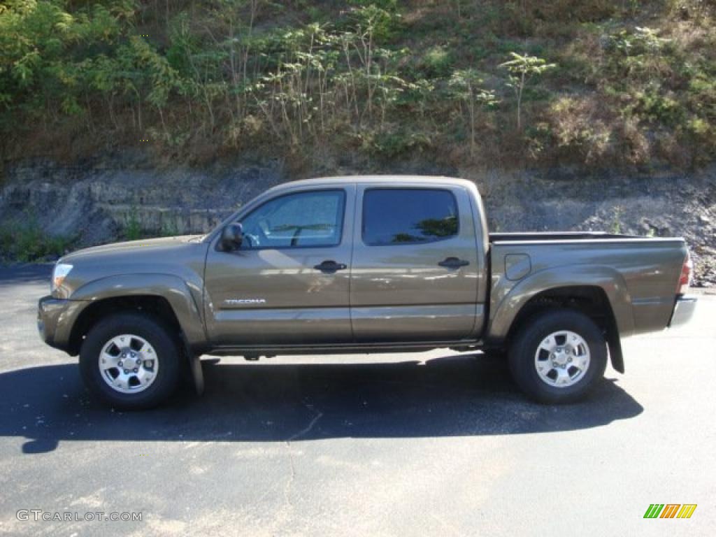 Pyrite Mica Toyota Tacoma