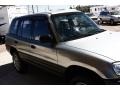 Quicksilver - RAV4 4WD Photo No. 17