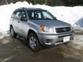 2004 Titanium Metallic Toyota RAV4 4WD  photo #1