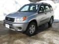 2004 Titanium Metallic Toyota RAV4 4WD  photo #9