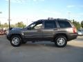 Taupe Frost Metallic - Grand Cherokee Limited 4x4 Photo No. 6