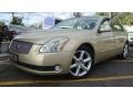 Champagne Mist Metallic - Maxima 3.5 SE Photo No. 1