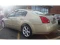 Champagne Mist Metallic - Maxima 3.5 SE Photo No. 3