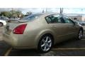 Champagne Mist Metallic - Maxima 3.5 SE Photo No. 4