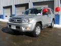 2003 Titanium Metallic Toyota 4Runner SR5 4x4  photo #9