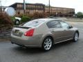 2008 Pebble Beach Metallic Nissan Maxima 3.5 SE  photo #3