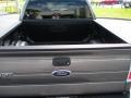 2010 Sterling Grey Metallic Ford F150 XLT SuperCrew  photo #10