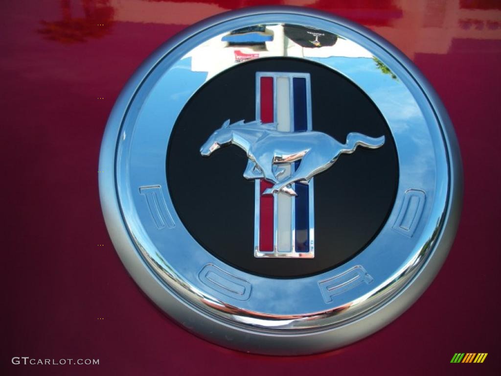 2011 Mustang V6 Premium Coupe - Red Candy Metallic / Stone photo #4