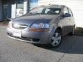 2008 Medium Gray Metallic Chevrolet Aveo Aveo5 LS  photo #10