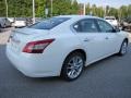 Winter Frost White - Maxima 3.5 SV Photo No. 5