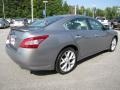 Precision Gray Metallic - Maxima 3.5 SV Photo No. 5