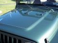 1999 Medium Fern Green Pearlcoat Jeep Wrangler Sport 4x4  photo #28