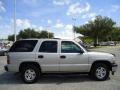 2006 Silver Birch Metallic Chevrolet Tahoe LS  photo #14
