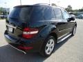 Black - ML 350 Photo No. 12