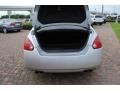 Liquid Silver Metallic - Maxima 3.5 SE Photo No. 11