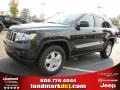 Natural Green Pearl - Grand Cherokee Laredo Photo No. 1