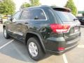 Natural Green Pearl - Grand Cherokee Laredo Photo No. 2