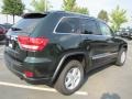 Natural Green Pearl - Grand Cherokee Laredo Photo No. 3