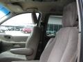 Light Parchment Gold Metallic - Windstar SE Photo No. 4