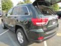 Natural Green Pearl - Grand Cherokee Laredo Photo No. 8