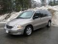 Light Parchment Gold Metallic - Windstar SE Photo No. 9