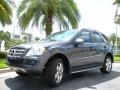 2010 Steel Grey Metallic Mercedes-Benz ML 350  photo #2