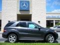 Steel Grey Metallic - ML 350 Photo No. 5