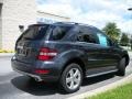 2010 Steel Grey Metallic Mercedes-Benz ML 350  photo #6