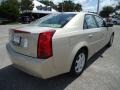 Gold Mist - CTS Sedan Photo No. 13