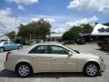 Gold Mist - CTS Sedan Photo No. 14