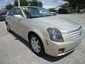 Gold Mist - CTS Sedan Photo No. 15