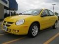 2004 Solar Yellow Dodge Neon SXT  photo #1