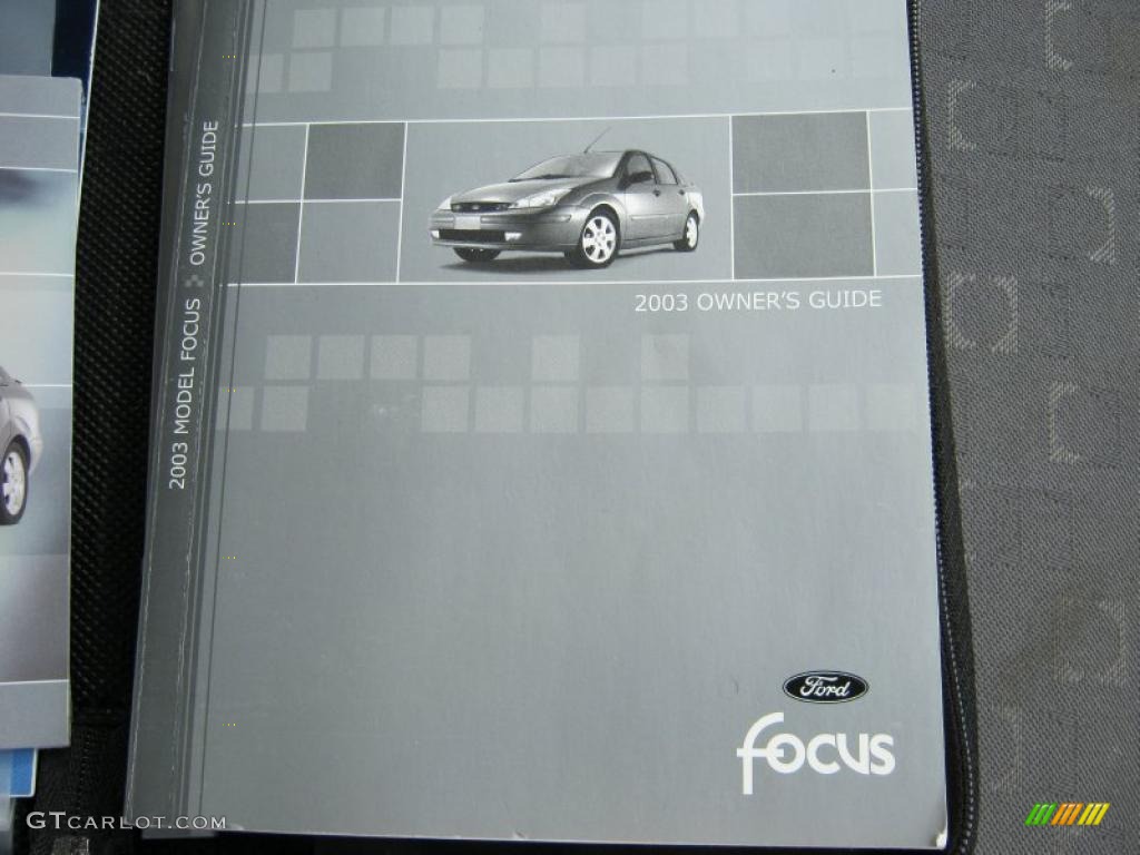 2003 Focus ZX5 Hatchback - Infra-Red / Medium Graphite photo #11