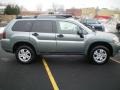 2008 Satin Meisai Pearl Mitsubishi Endeavor LS AWD  photo #14