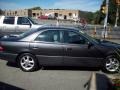 Graphite Gray Metallic - ES 300 Sedan Photo No. 6