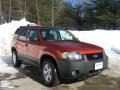 Blazing Copper Metallic - Escape XLT V6 4WD Photo No. 4