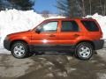 Blazing Copper Metallic - Escape XLT V6 4WD Photo No. 8