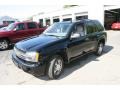 Black - TrailBlazer LS 4x4 Photo No. 1