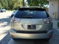 Bamboo Pearl - RX 350 AWD Photo No. 5