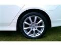 Premium White Pearl - TSX Sedan Photo No. 9