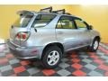 Millennium Silver Metallic - RX 300 AWD Photo No. 6