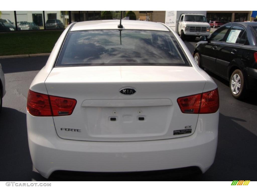 2010 Forte EX - Clear White / Coffee photo #4