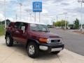 Brick Red - FJ Cruiser 4WD Photo No. 2