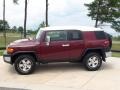 Brick Red - FJ Cruiser 4WD Photo No. 10