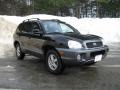 2004 Black Obsidian Hyundai Santa Fe GLS 4WD  photo #1
