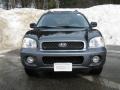 2004 Black Obsidian Hyundai Santa Fe GLS 4WD  photo #7