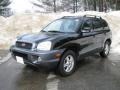 2004 Black Obsidian Hyundai Santa Fe GLS 4WD  photo #8