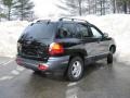 2004 Black Obsidian Hyundai Santa Fe GLS 4WD  photo #11